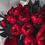 15 красных пионов с зеленью 15 красных пионов с зеленью